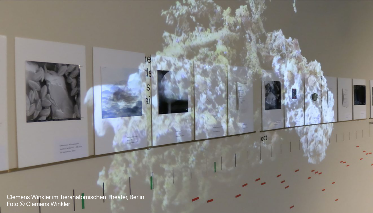 o_006.2 Clemens Winkler im Tieranatomischen Theater, Berlin / Foto © Clemens Winkler